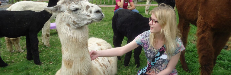 Besuch bei den Lamas